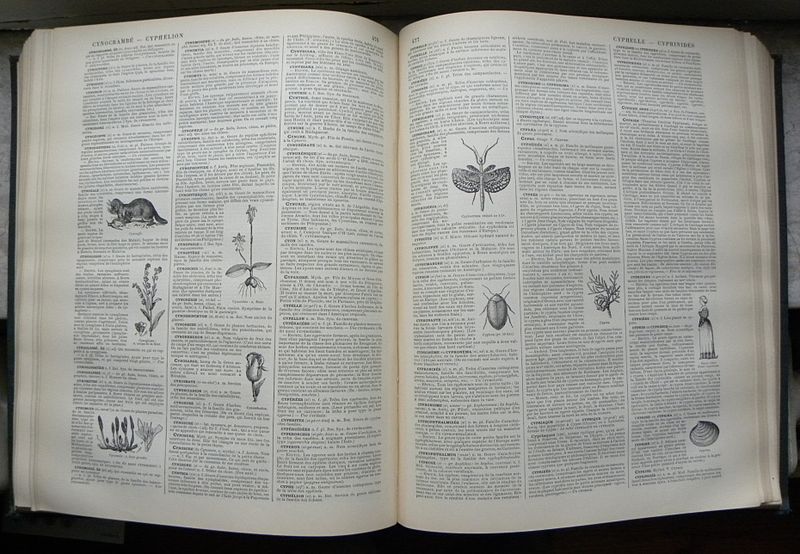 File:Nouveau Dictionnaire Larousse page.JPG