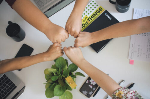 Group fist bump, photo by Antonio Janeski